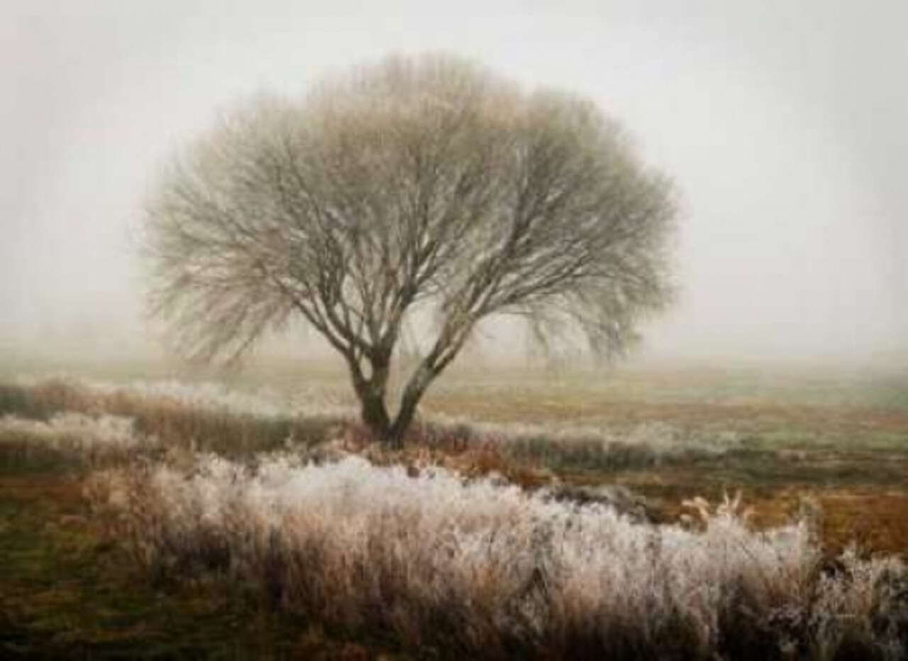 Tranquility I Poster Print by Vitaly Geyman - Item # VARPDXPSVIT134